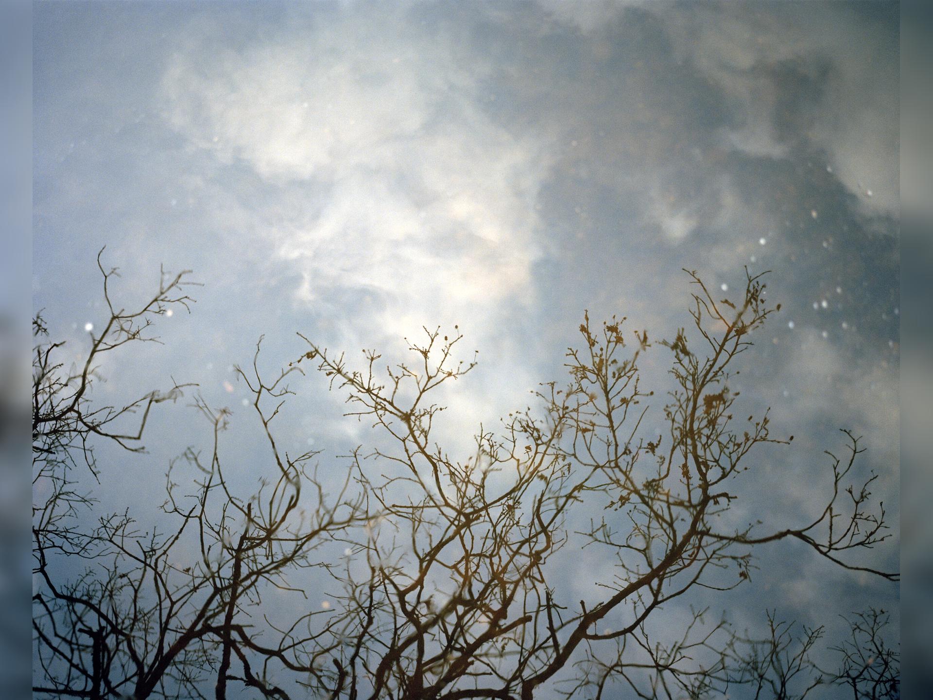 Fractured Landscapes and how we heal