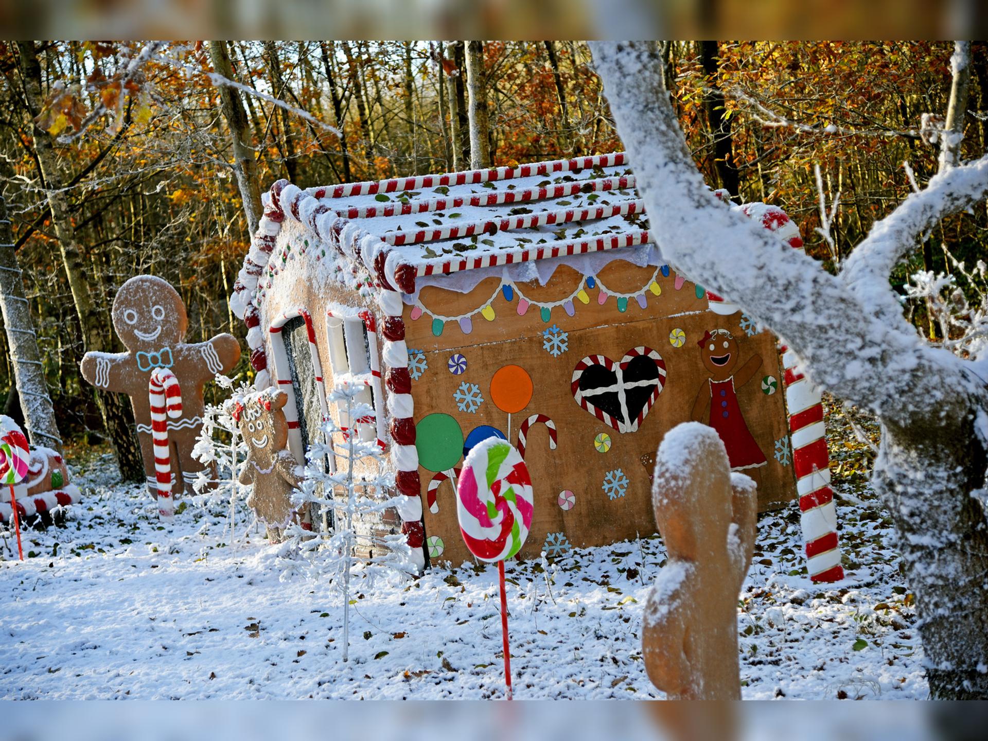 Conkers Christmas Winter Wonderland