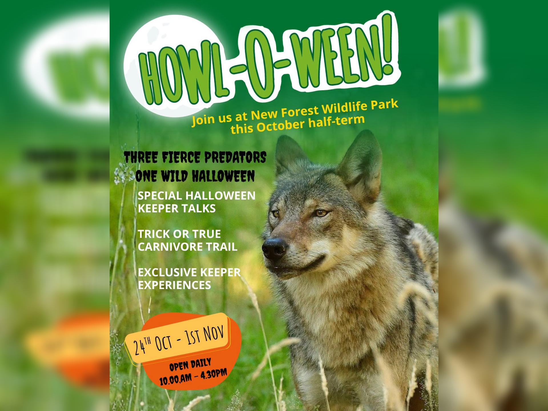 Howl-O-Ween